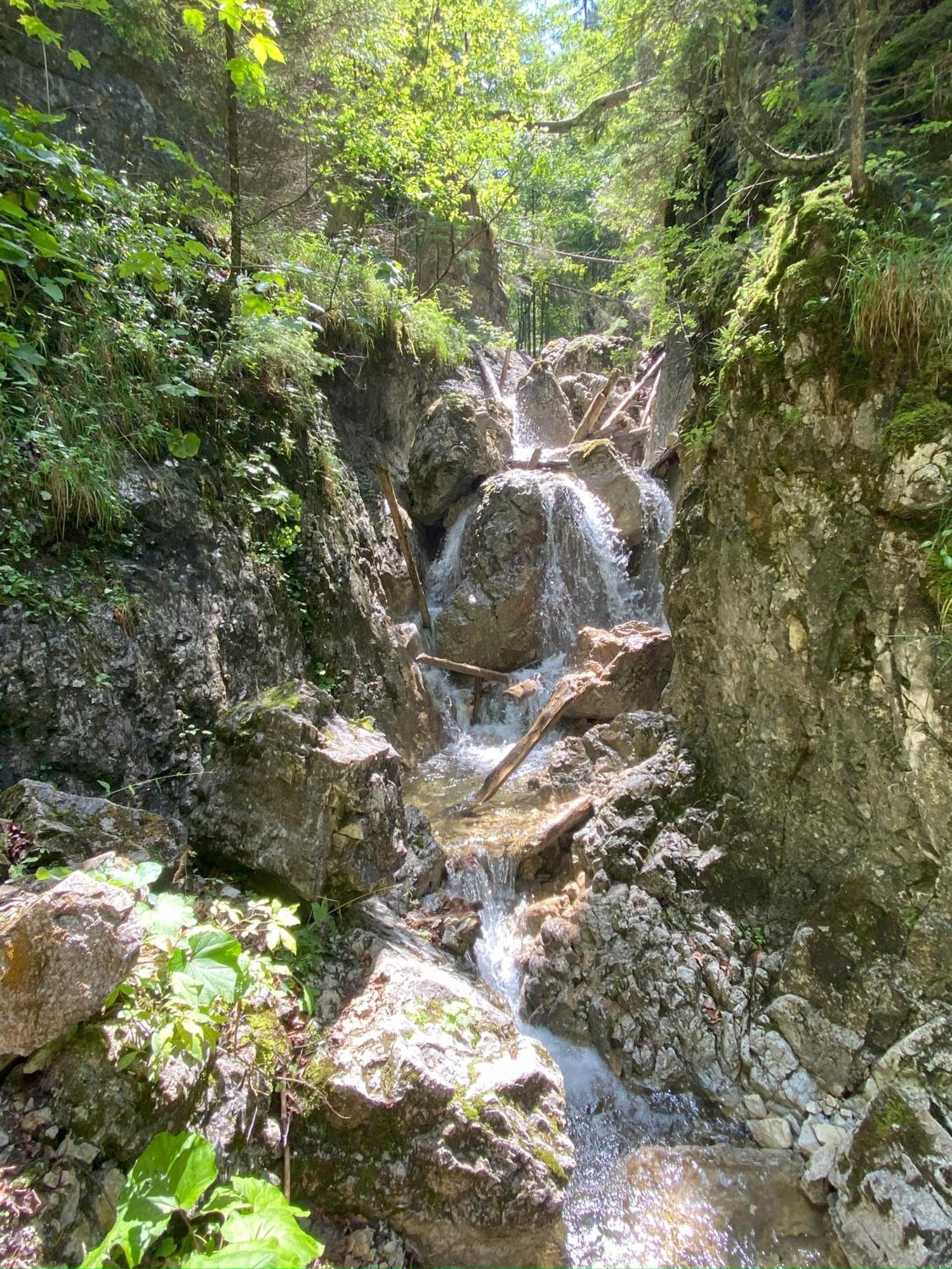 Penzion Pod Guglom Mlynky Extérieur photo